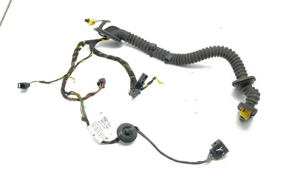 Front door wiring loom