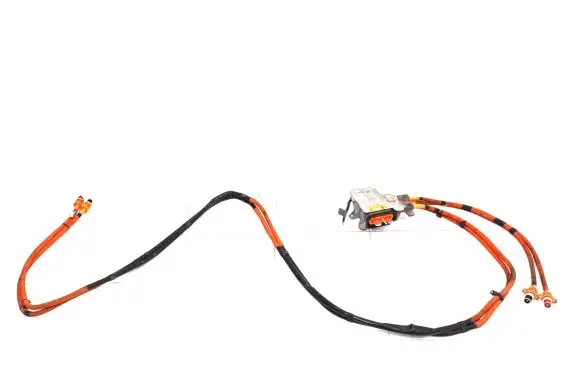 Tesla Model S Other wiring loom 1062600-10-C
