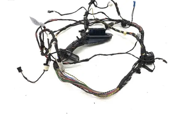 BMW X3 F25 Front door wiring loom 9243661 9243655