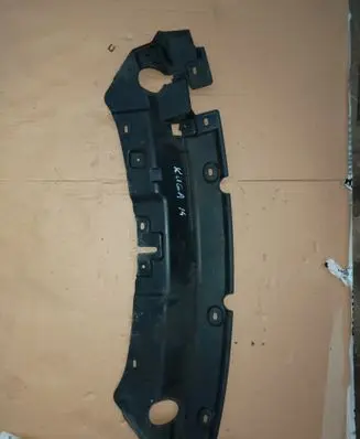 Engine bonnet/hood lock trim molding