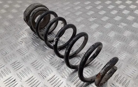 Dacia Sandero Rear coil spring