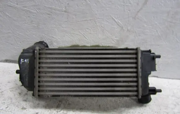 Ford Puma Intercooler radiator L1BG6D624AA