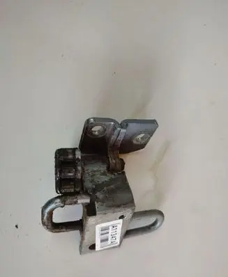 Volkswagen PASSAT B6 Rear door lower hinge