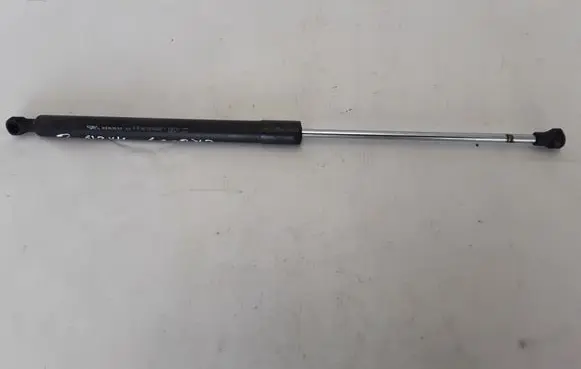 Tailgate strut