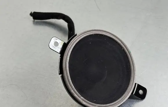 Panel speaker