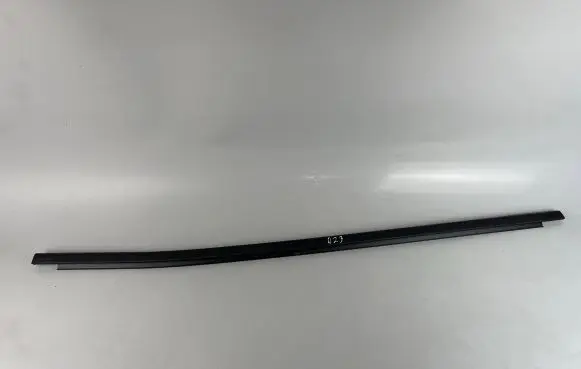 Renault Arkana Front door glass trim molding 5119161F 20220914