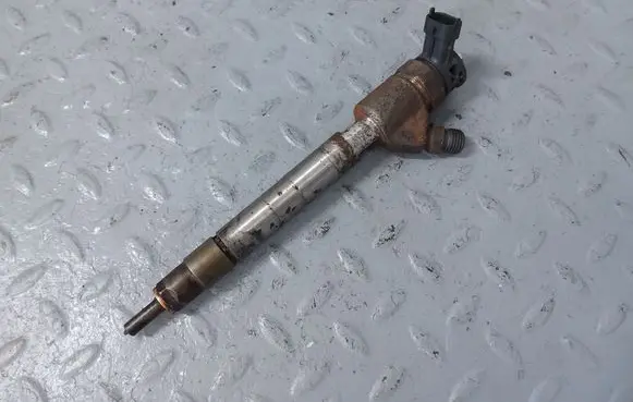 Peugeot Partner III Fuel injector 9828959880 0445110955