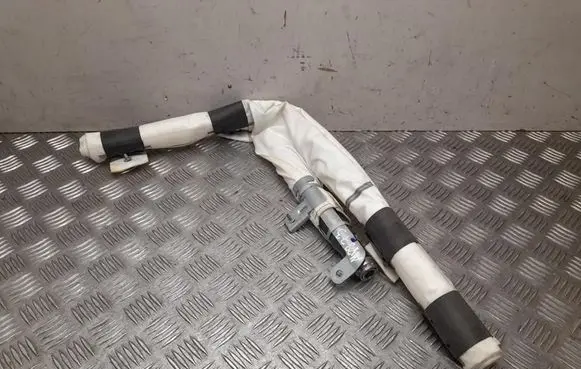 Tesla Model X Roof airbag 103676000H