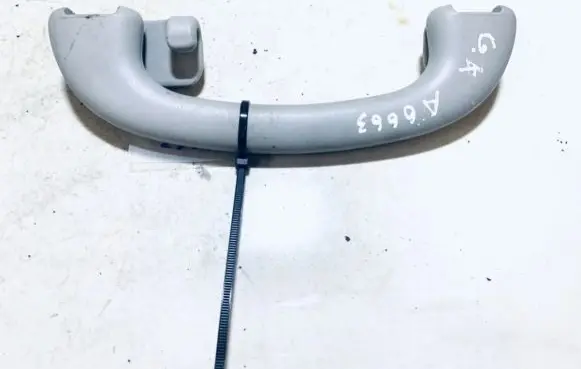 Ford Focus Rear interior roof grab handle
