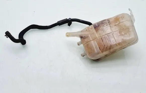 Renault Scenic III - Grand scenic III Coolant expansion tank/reservoir 217100005R