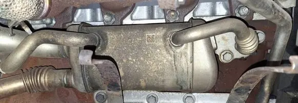 Nissan Juke I F15 EGR valve cooler