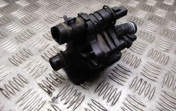Thermostat/thermostat housing