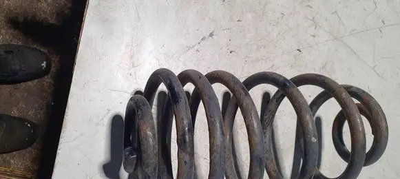 Rear coil spring