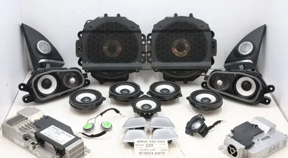 BMW XM Front door speaker 5A12120MWGK120626 5A12120