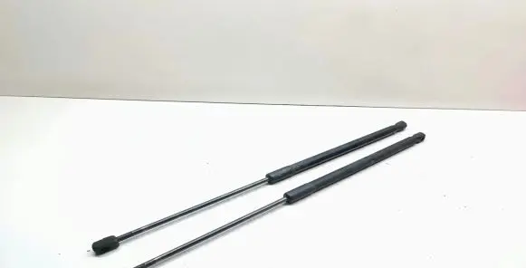 BMW X1 E84 Tailgate/trunk strut/damper 2990136 51242990136