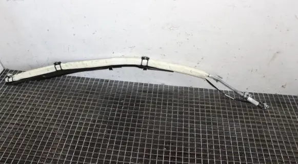 Mercedes-Benz CLS C219 Roof airbag 2198600105