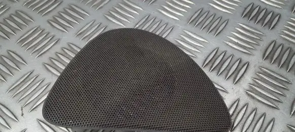 Side speaker trim/cover