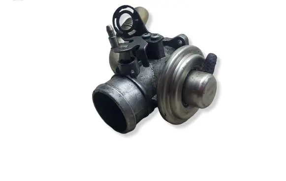 Volkswagen Golf IV EGR valve 038131501EKASACJA 038131501E