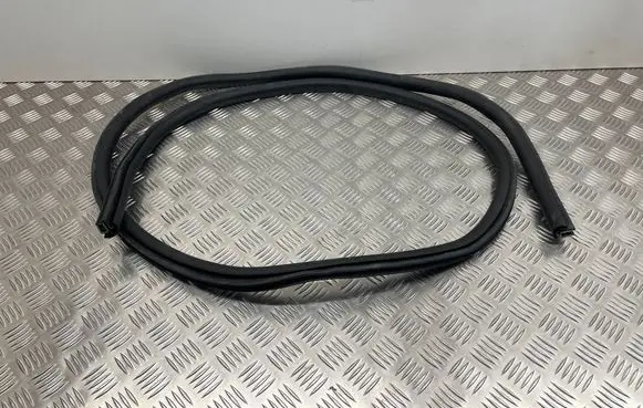 Ford Focus Rear door rubber seal (on body) JX7BA253A10AE