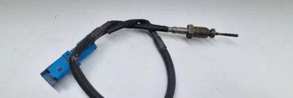 Renault Espace - Grand espace IV Exhaust gas temperature sensor