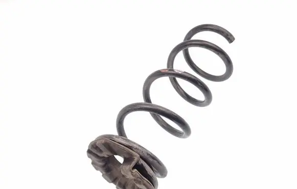 Nissan Murano Z52 Rear coil spring 550363JA0A