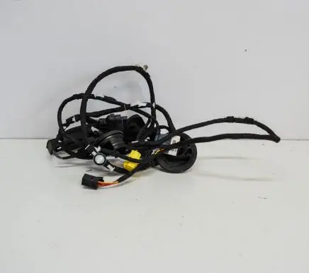 Audi Q5 SQ5 Front door wiring loom 8R0971030CH