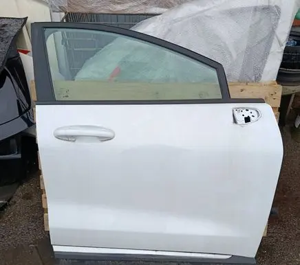 Ford Puma Front door 