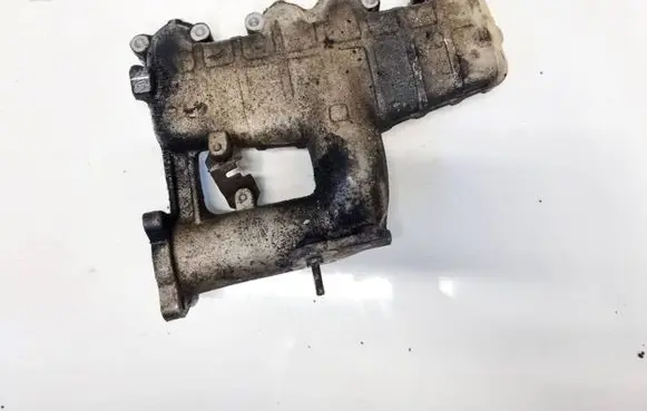 Seat Toledo II (1M) Intake manifold 038129713