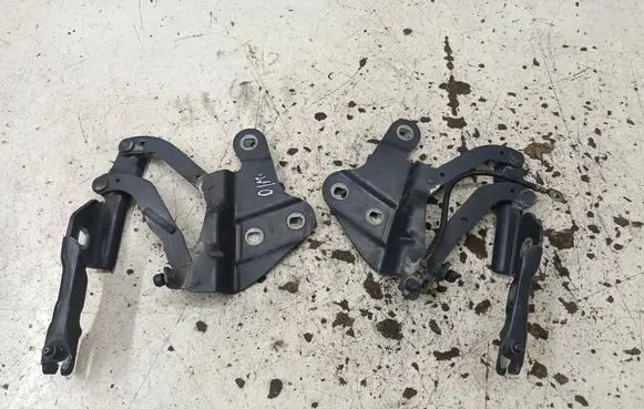 BMW X1 E84 Engine bonnet/hood hinges 2990359 ES03