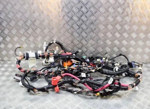 Tesla Model 3 Other wiring loom 106795500E 109209700C