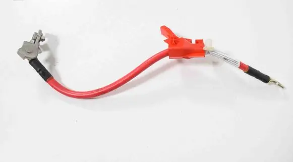 Positive wiring loom