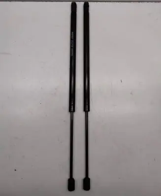 Tailgate strut