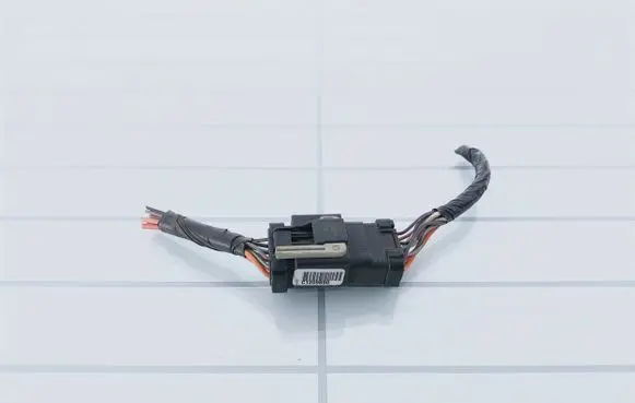 Chrysler Grand Voyager IV Other wiring loom C1209690