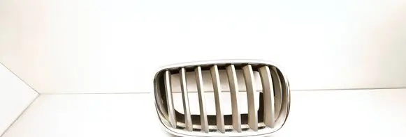 BMW X5 E70 Front bumper upper radiator grill 51137171396 7171396 7185224