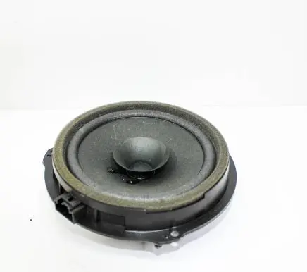 Rear door speaker