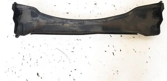 Mini Cooper Countryman F60 Wiper trim 7380741 74850615