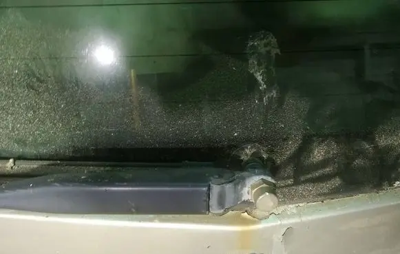 Rear window wiper motor