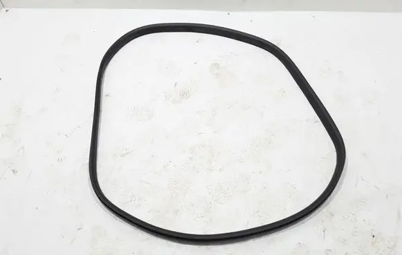 Renault Clio V Front door rubber seal 808329581R