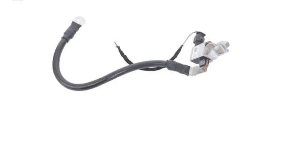 Volkswagen Golf VI Positive wiring loom 8S0915181C