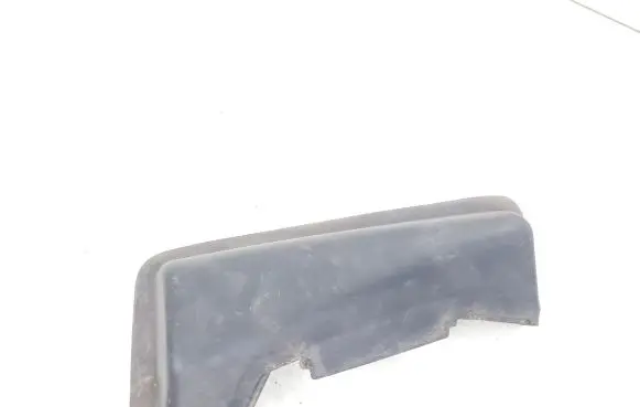 Rear/tail light trim molding