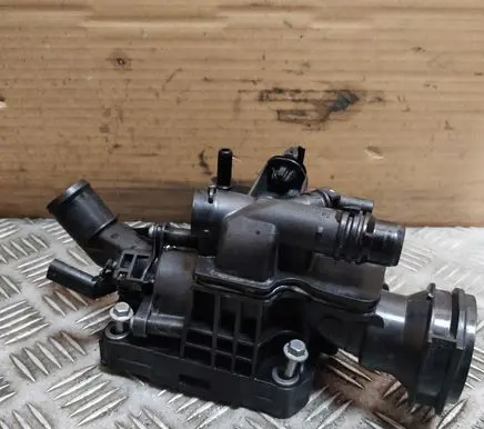 Thermostat/thermostat housing