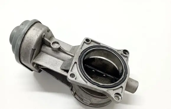 Volkswagen Touareg I Throttle valve 07Z128069A