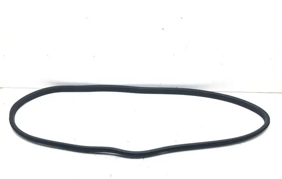 Renault Megane III Rubber seal rear door 