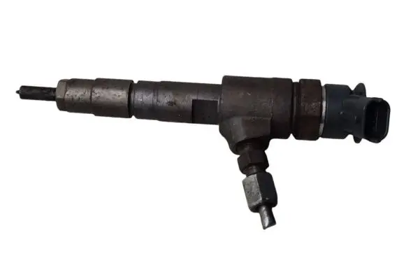 Renault Kangoo II Fuel injector 0445110340 870692