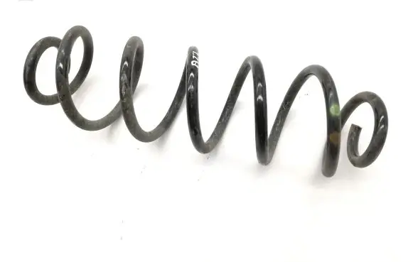 Rear coil spring