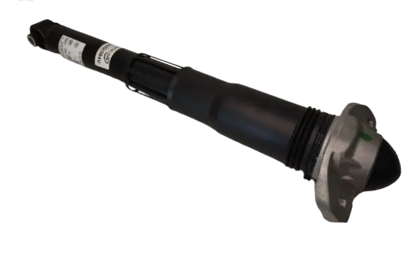 Volkswagen ID.4 Rear shock absorber/damper 1EA512013BD