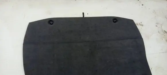 Toyota Prius (NHW20) Trunk/boot mat liner 5841647010