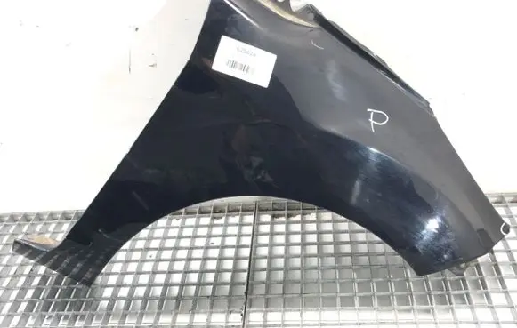 Ford Fiesta Fender