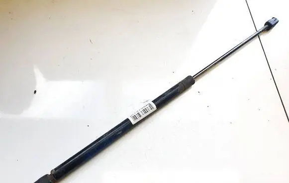 Tailgate/trunk strut/damper