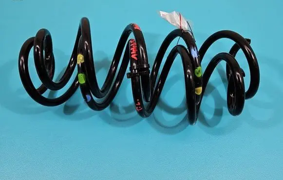 Rear coil spring